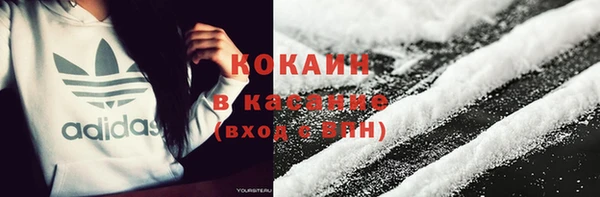 прущие грибы Арсеньев