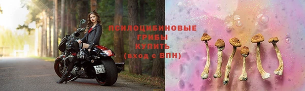 прущие грибы Арсеньев