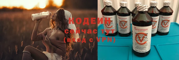 прущие грибы Арсеньев