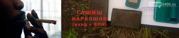 прущие грибы Арсеньев