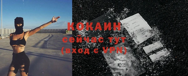 соль ск Дмитриев