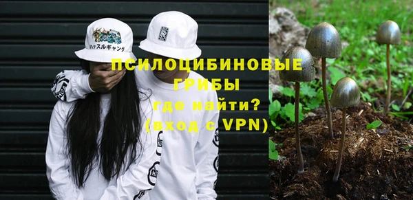 прущие грибы Арсеньев