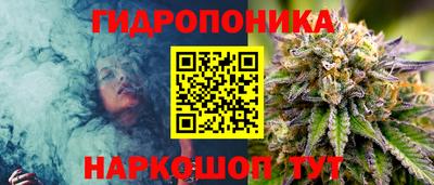 стафф Дубна