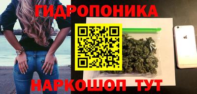 стафф Дубна