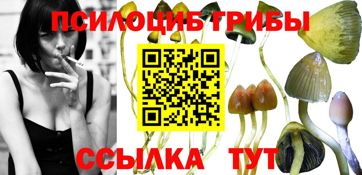 Ульяновск  Псилоцибиновые грибы Psilocybe  наркота  Вход с VPN 